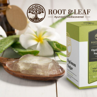 Root & Leaf - Ayurveda Rediscovered